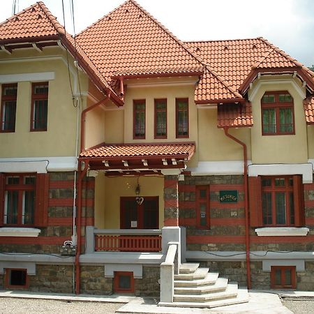 Pensiunea Micsunica Sinaia Extérieur photo