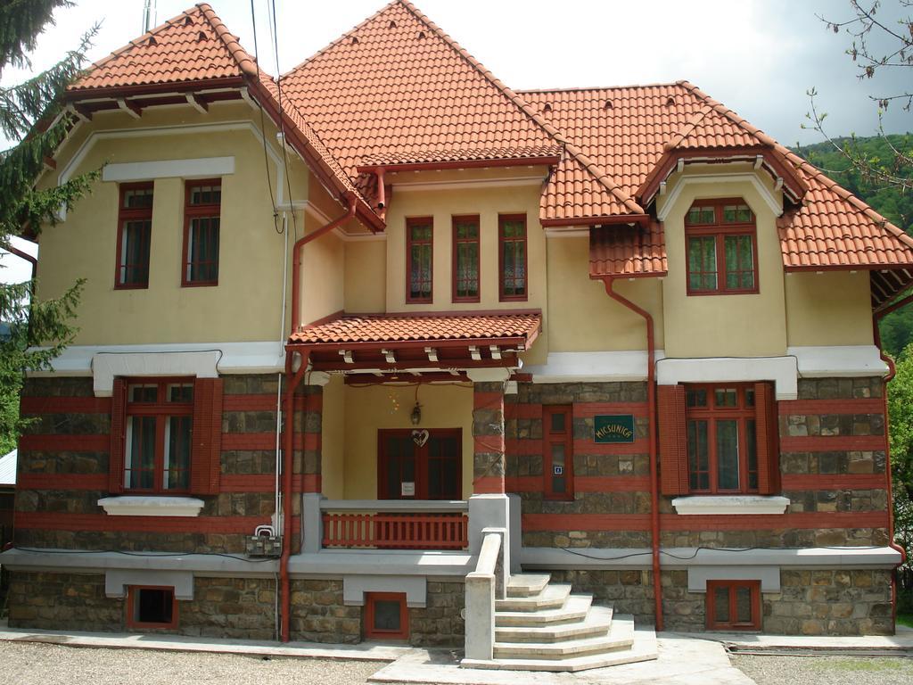 Pensiunea Micsunica Sinaia Extérieur photo